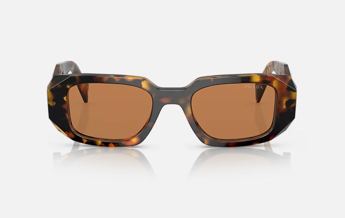 Prestige Sunglasses - Tortoise